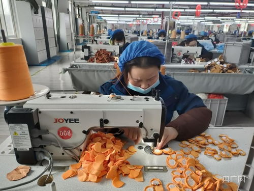 乡村振兴看陕西 每天80万只 毛绒玩具从陕西安康走向世界