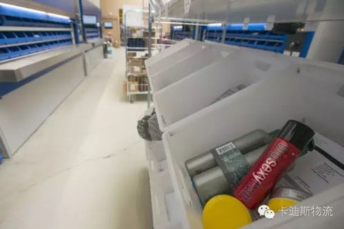 案例研究 电子商务公司美发产品订单的高效分拣策略